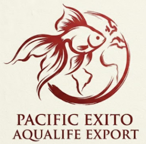 aqualife export